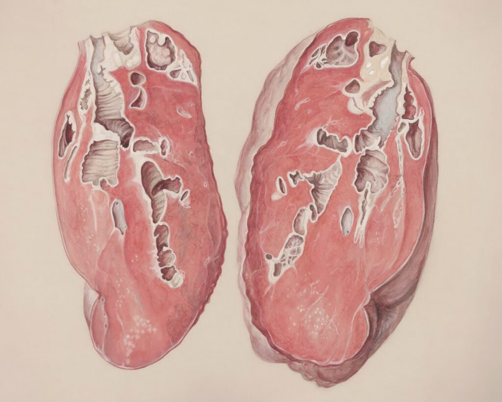future 3 Lab-Grown Organs